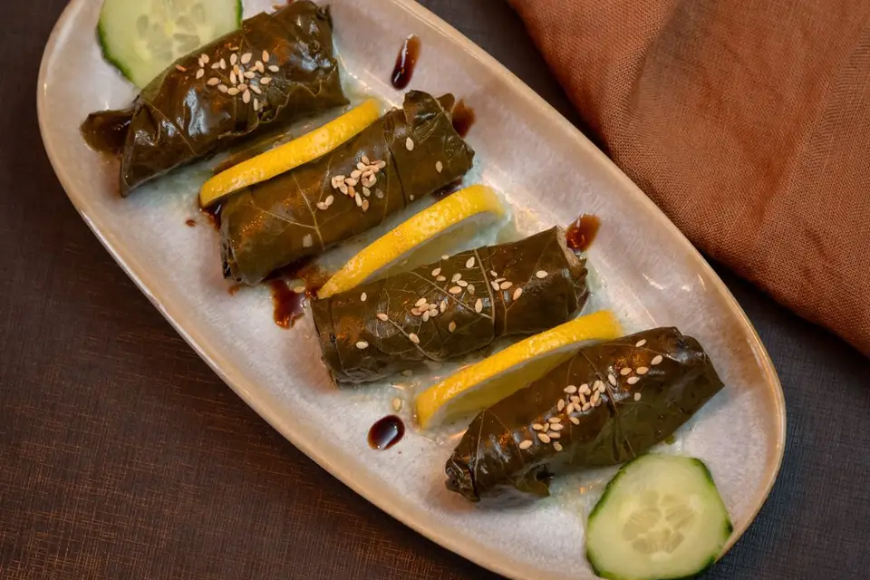 Le Cèdre — photo 8