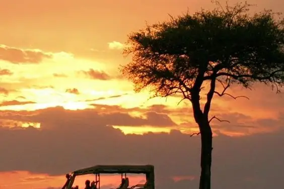 CapaVoyages — photo 2