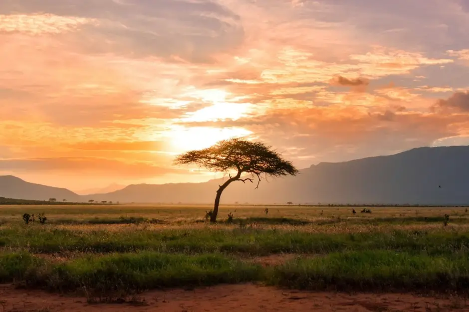 CapaVoyages — photo 1