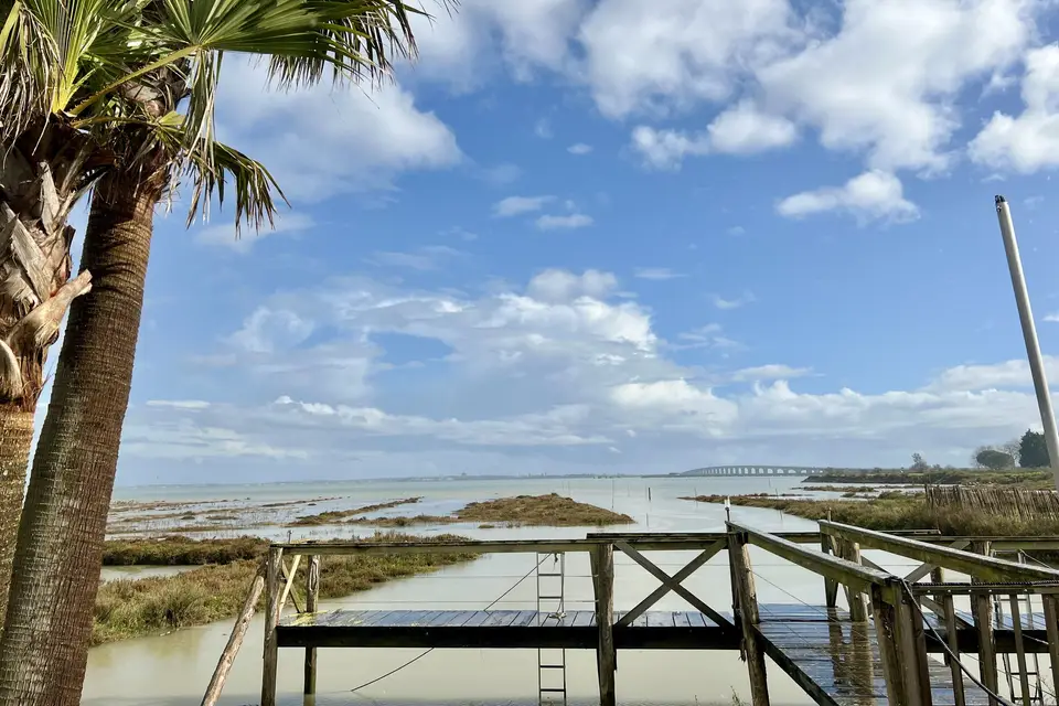 Kbane Dégustation — photo 1