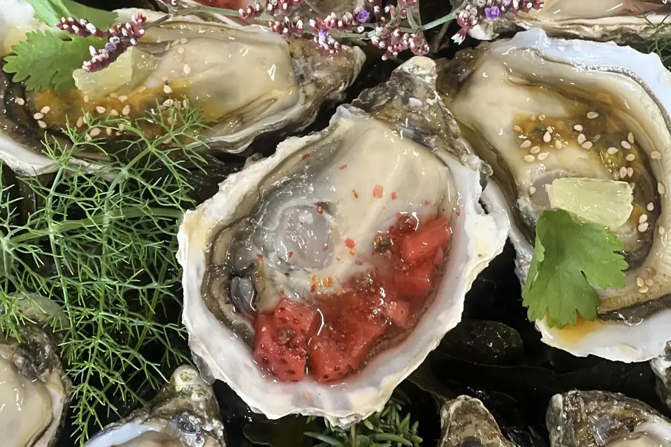 Kbane Dégustation — photo 7