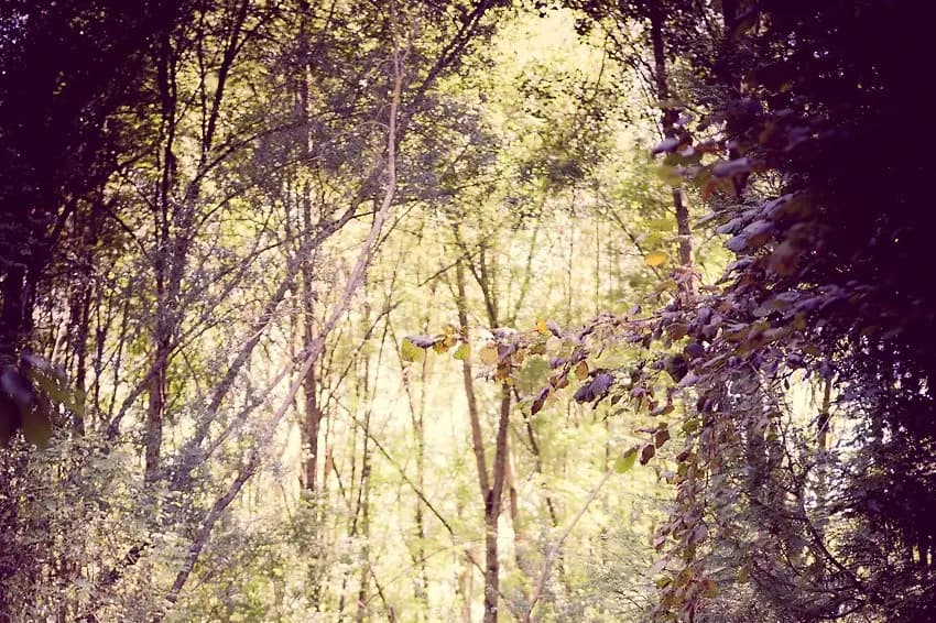 Fabrice Pouplier Photographe — photo 1