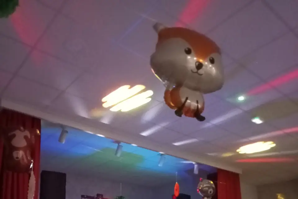 Lim' Animation — photo 8