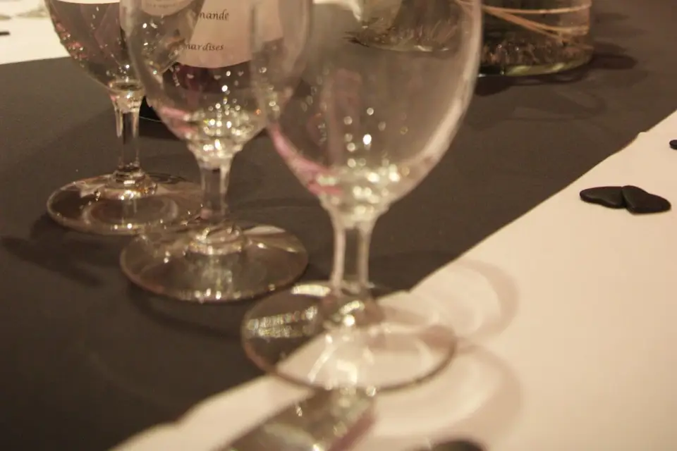 Hôtel Restaurant du Canard — photo 8