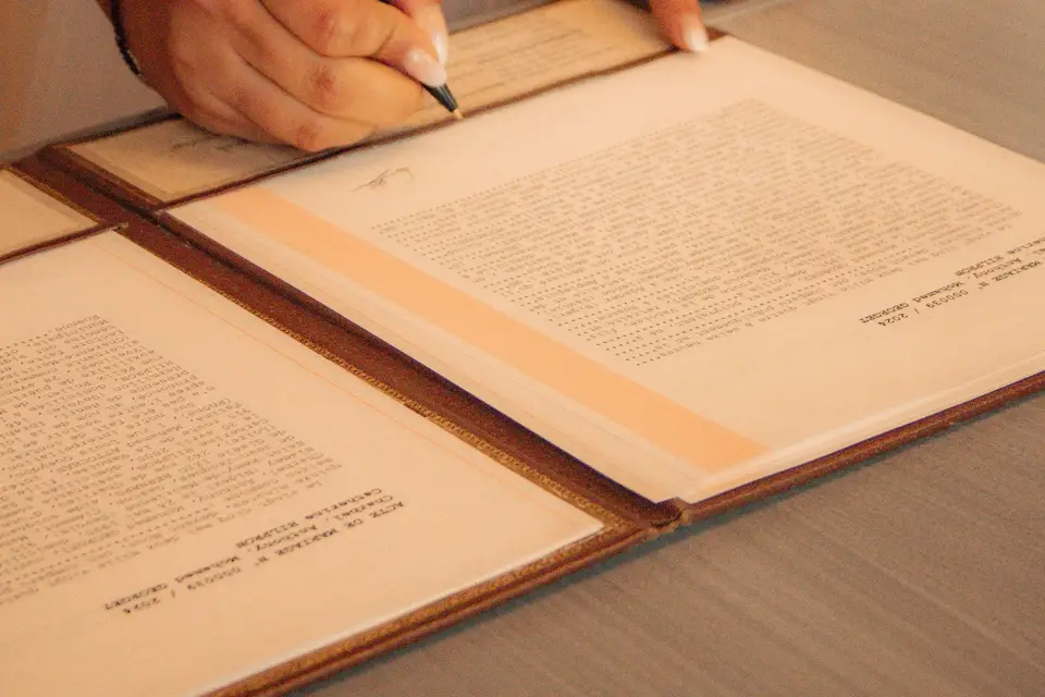 Atelier Pauline Photos — photo 7