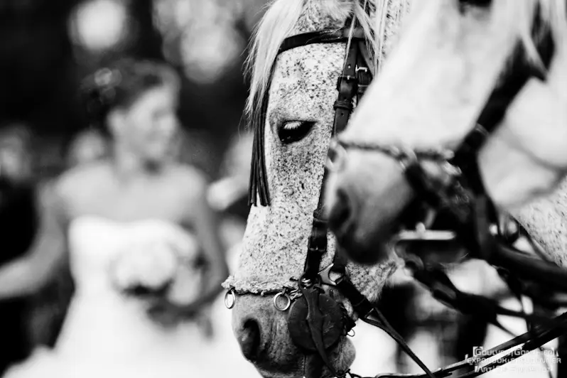 Israël Goulven — photo 5