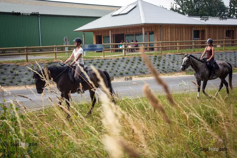 Les Ecuries du Val de l'Eure — photo 4