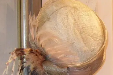 Le Jardin de Prospérine — photo 8