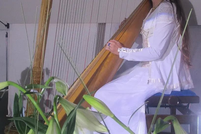 Harpe et Compagnie — photo 6