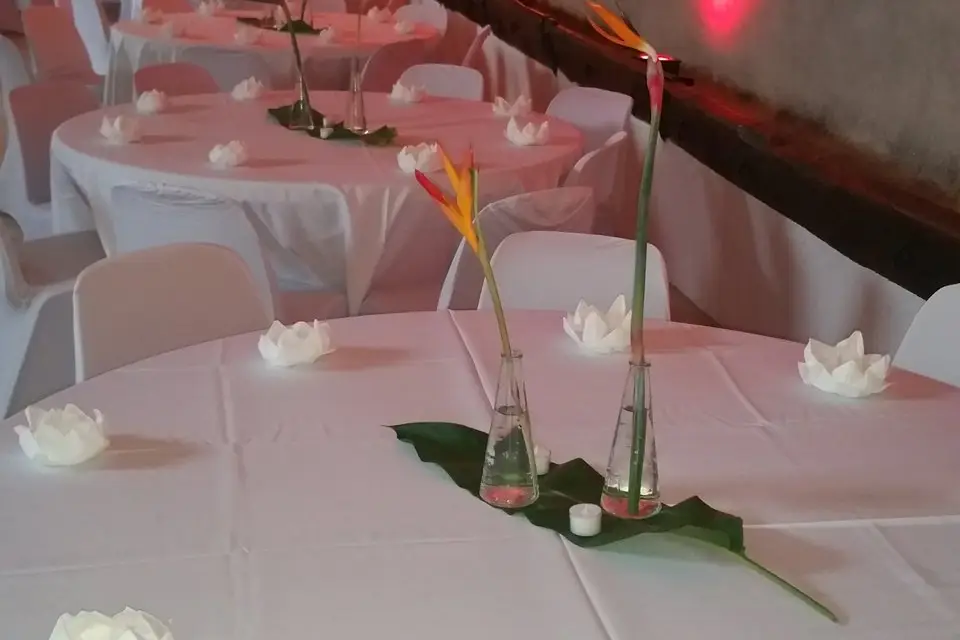 L'Écurie d'Emma — photo 3