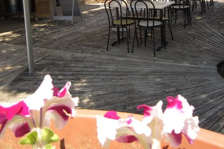 Camping Le Caussanel — photo 4