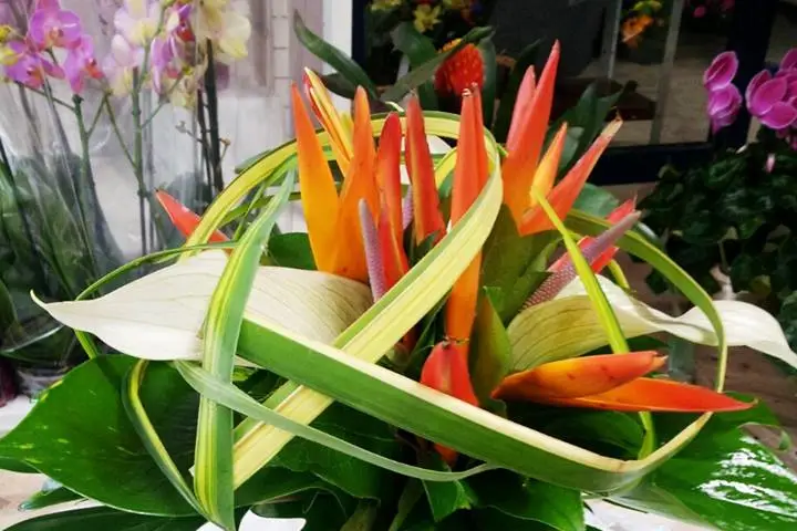 Ambiance Florale — photo 2