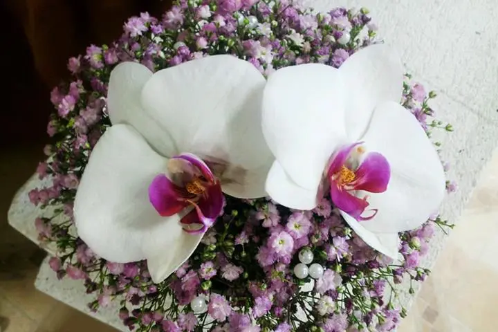 Ambiance Florale — photo 3