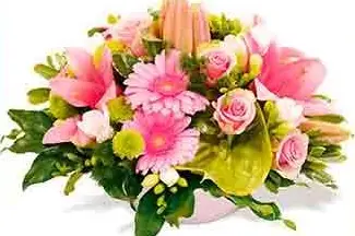 Ambiance Florale — photo 8