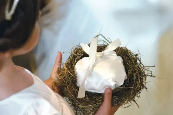 Nuits Célestes — photo 4