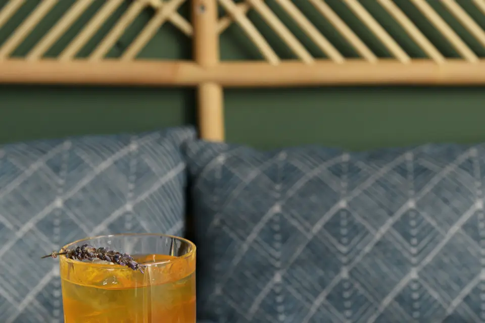 Maison Alphonse — photo 5