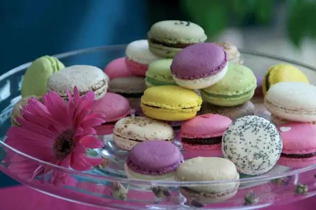 Nuits Célestes — photo 2