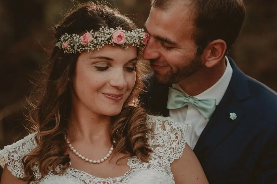 Drops on Daisies — photo 1