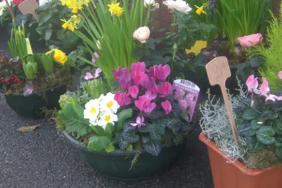 Au Coin Fleuri — photo 6