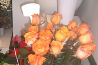 Au Coin Fleuri — photo 7