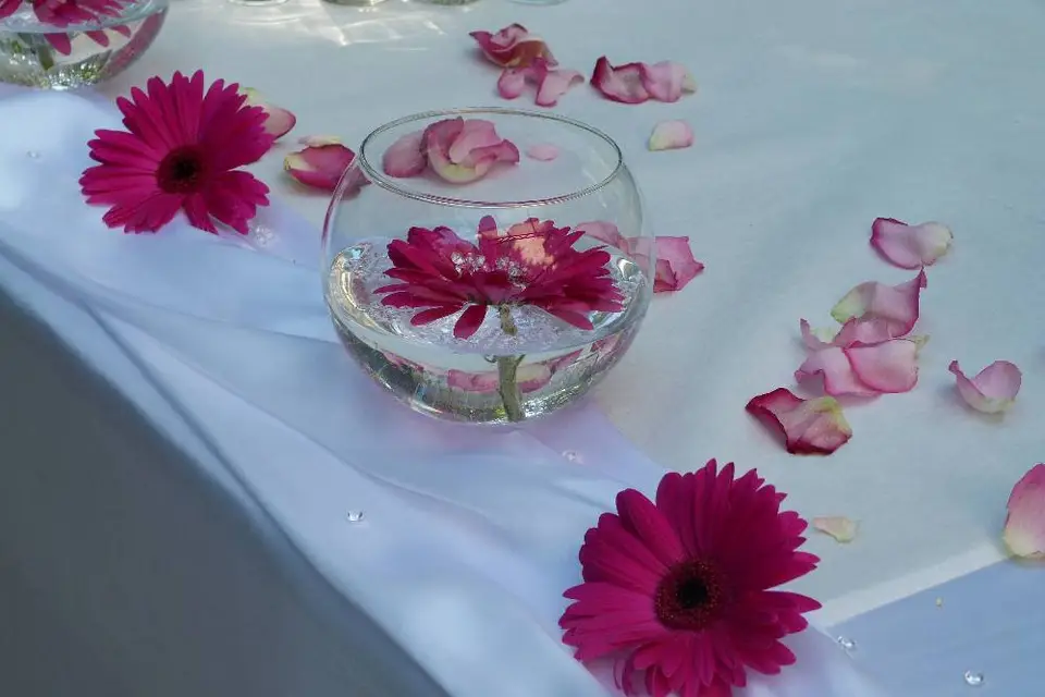 PG Wedding & Events — photo 2