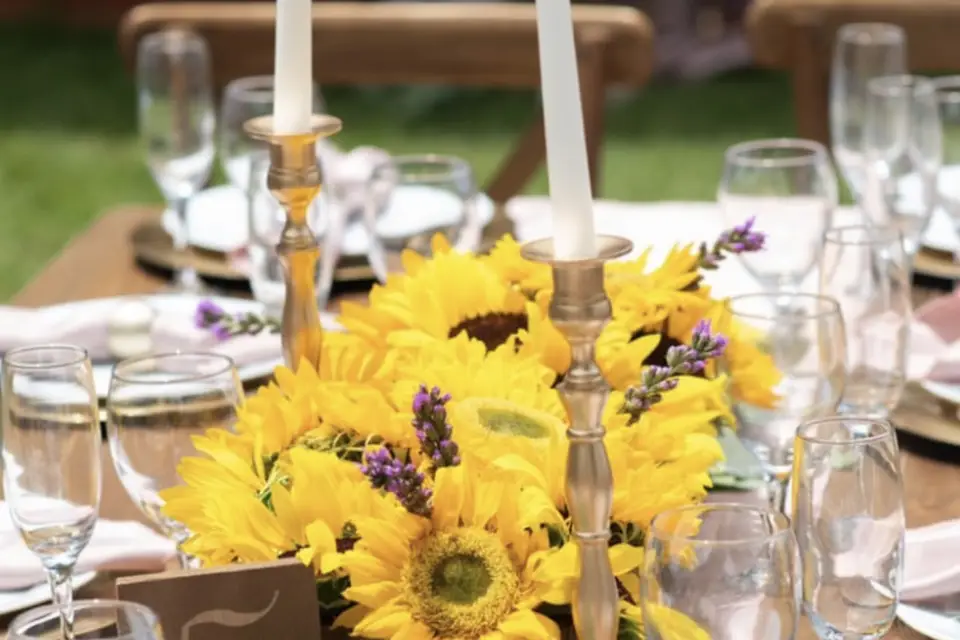 Love Events — photo 5