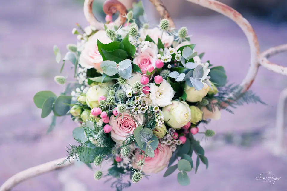 Cerise Aujus Photos — photo 2