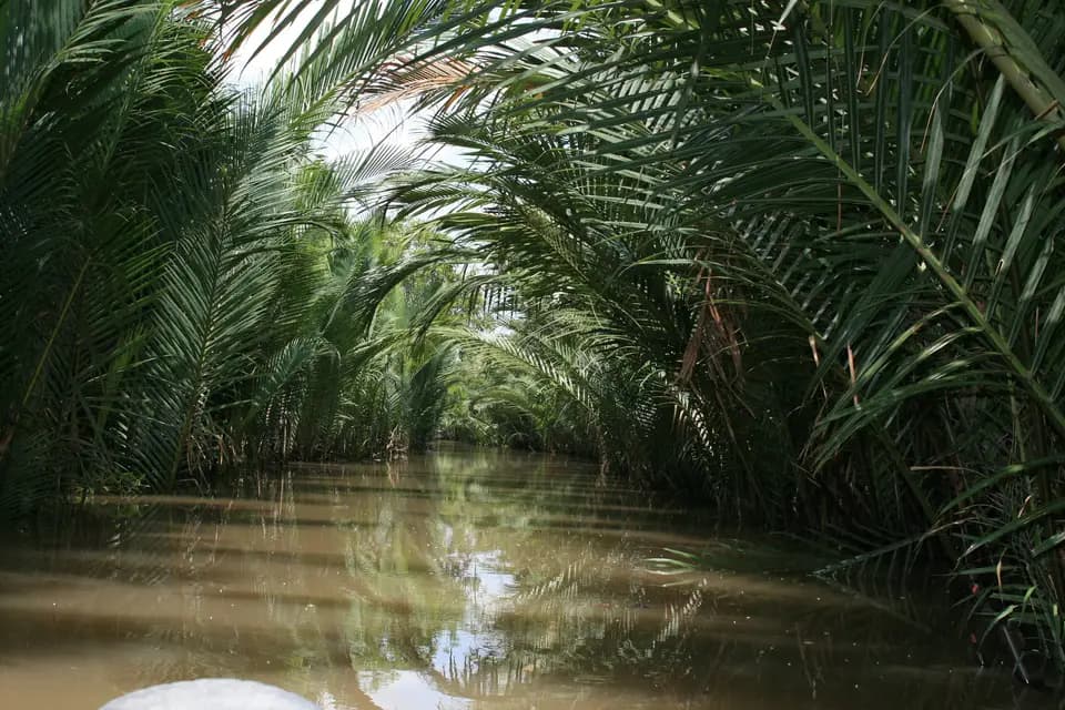 On'Bea Voyage — photo 2