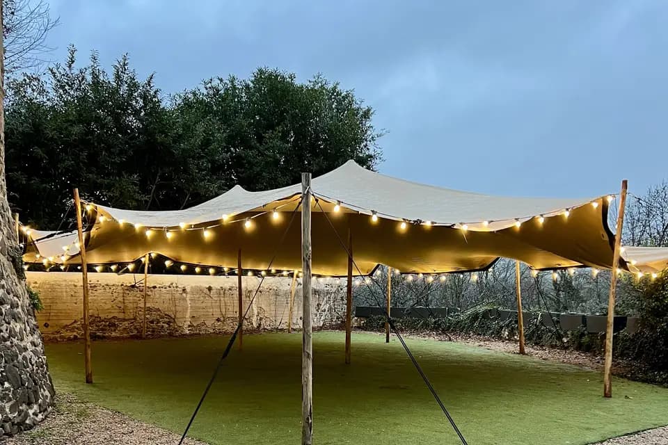 M. Agency — photo 7