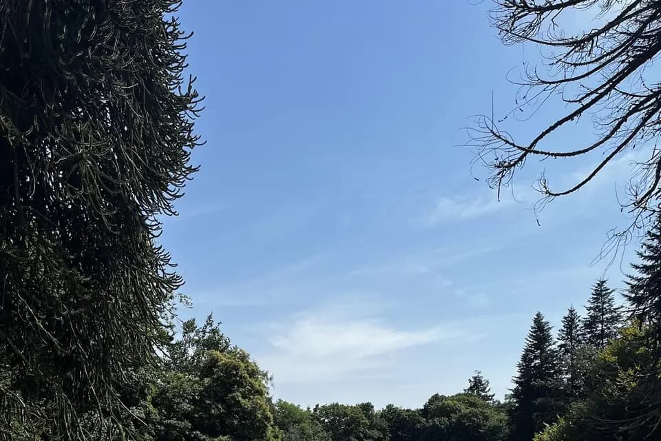 Domaine du Kermat — photo 3