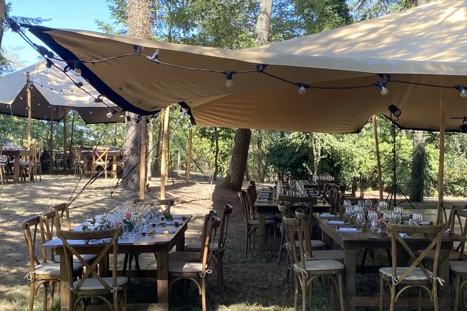 M. Agency — photo 8