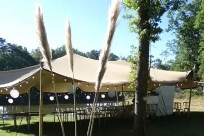 M. Agency — photo 2