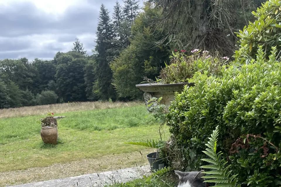 Domaine du Kermat — photo 6