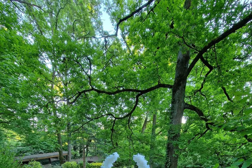 Villa des Cimes — photo 5