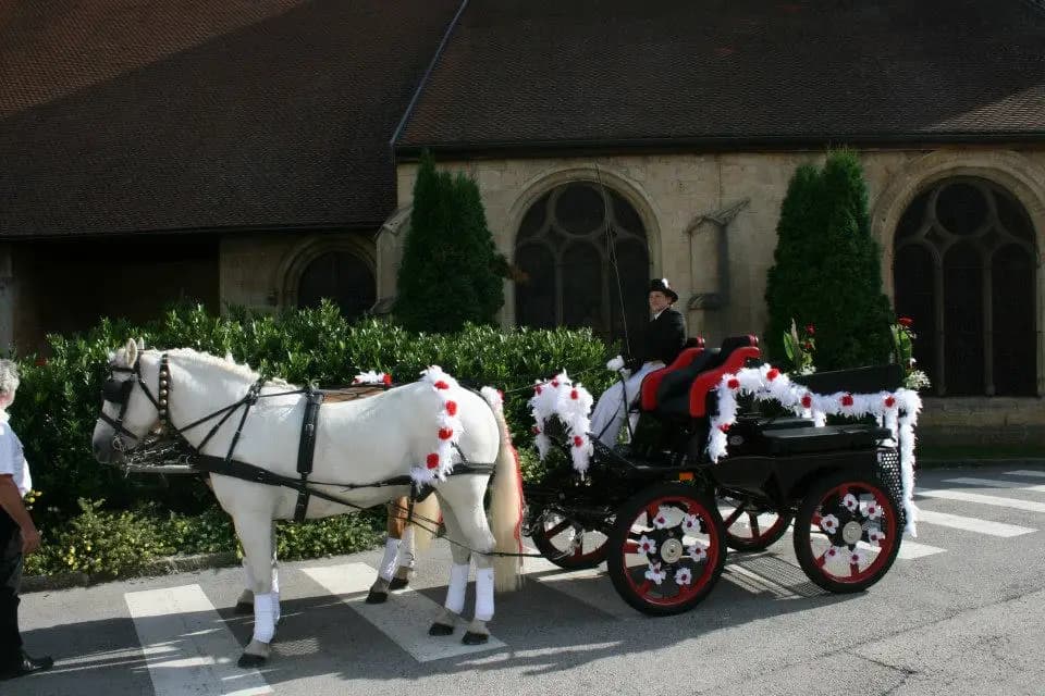 Les Écuries des Cottards — photo 2