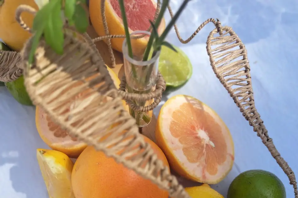 Bulles de Délicatesse — photo 6