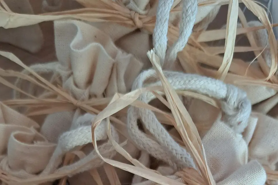 Bulles de Délicatesse — photo 7