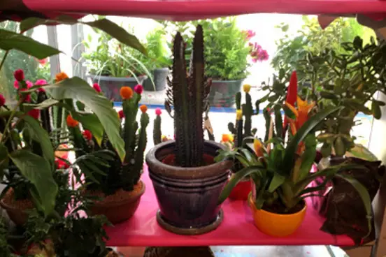 Déco Fleurs — photo 1