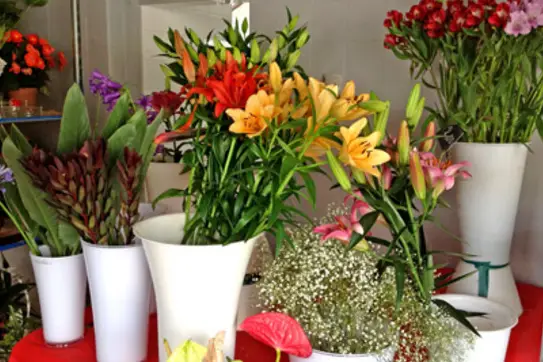 Déco Fleurs — photo 2