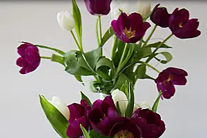 Cherishems Reception — photo 1