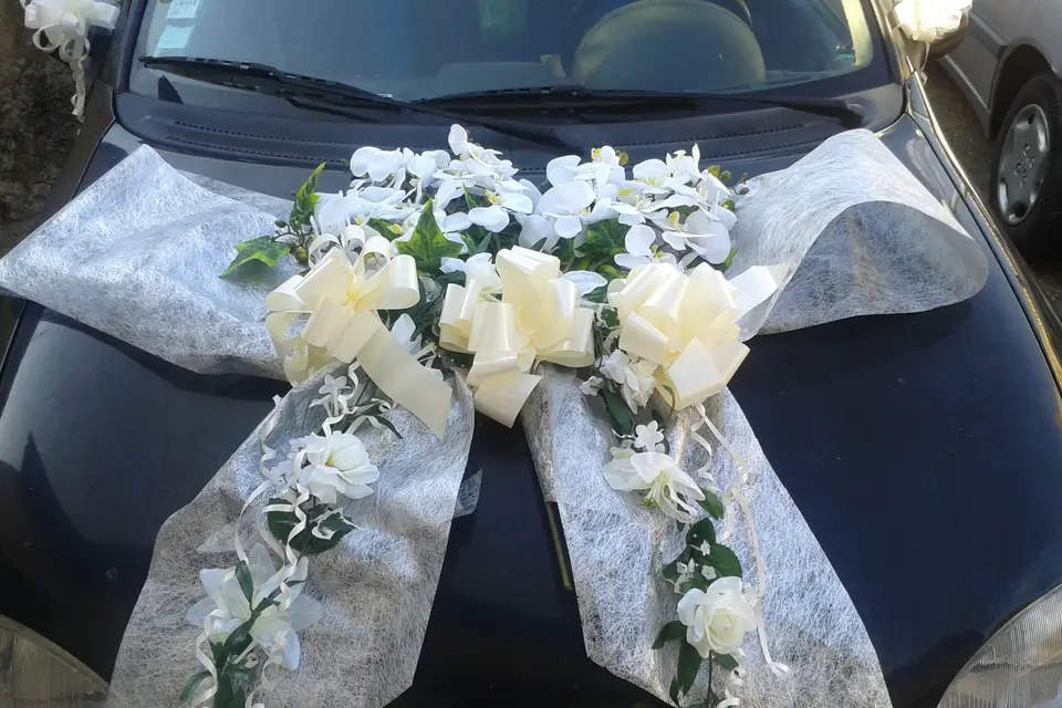 Simon Evenement — photo 3