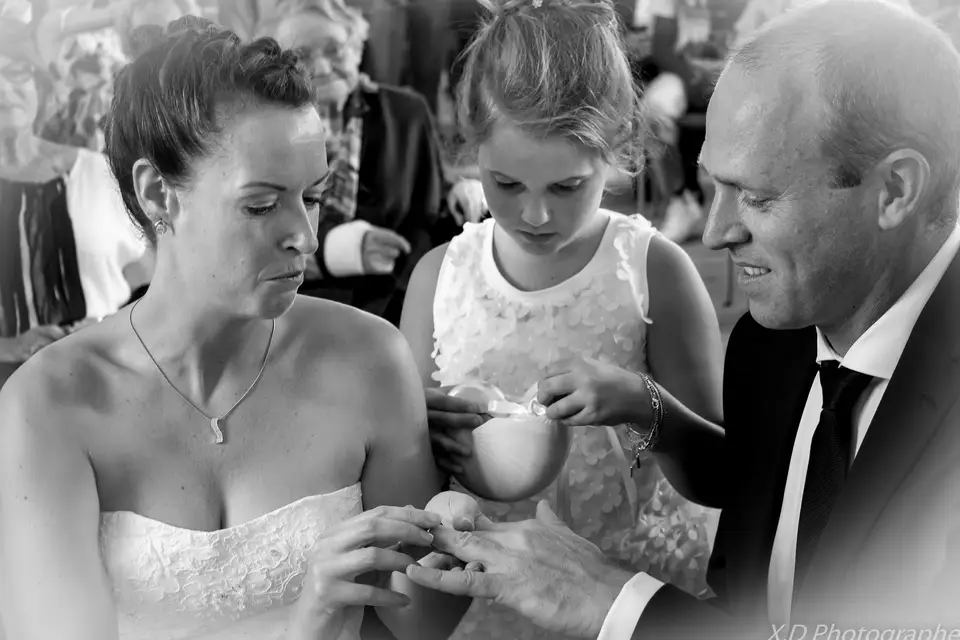 Xavier Dehove — photo 1