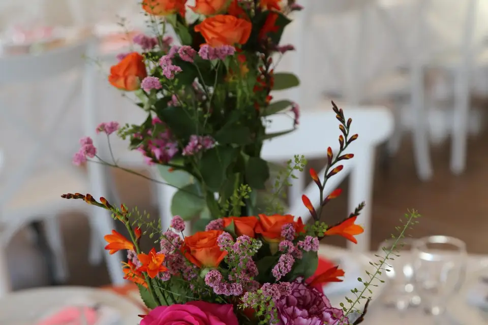 Le Domaine De Vénus — photo 8