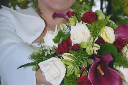 Grain de Photo — photo 2