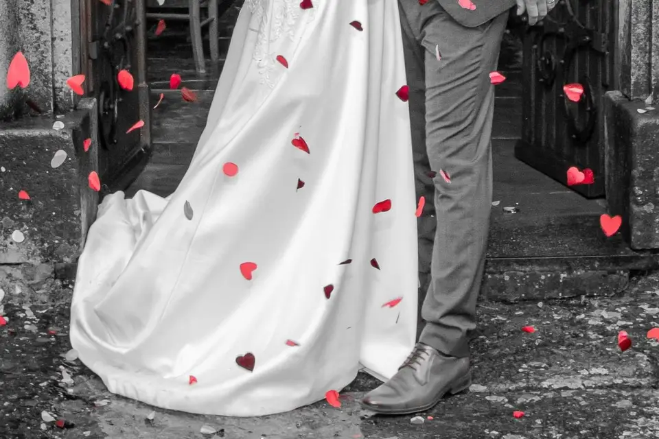 La Chouette Photographe — photo 8