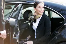 LDS Limousine — photo 6