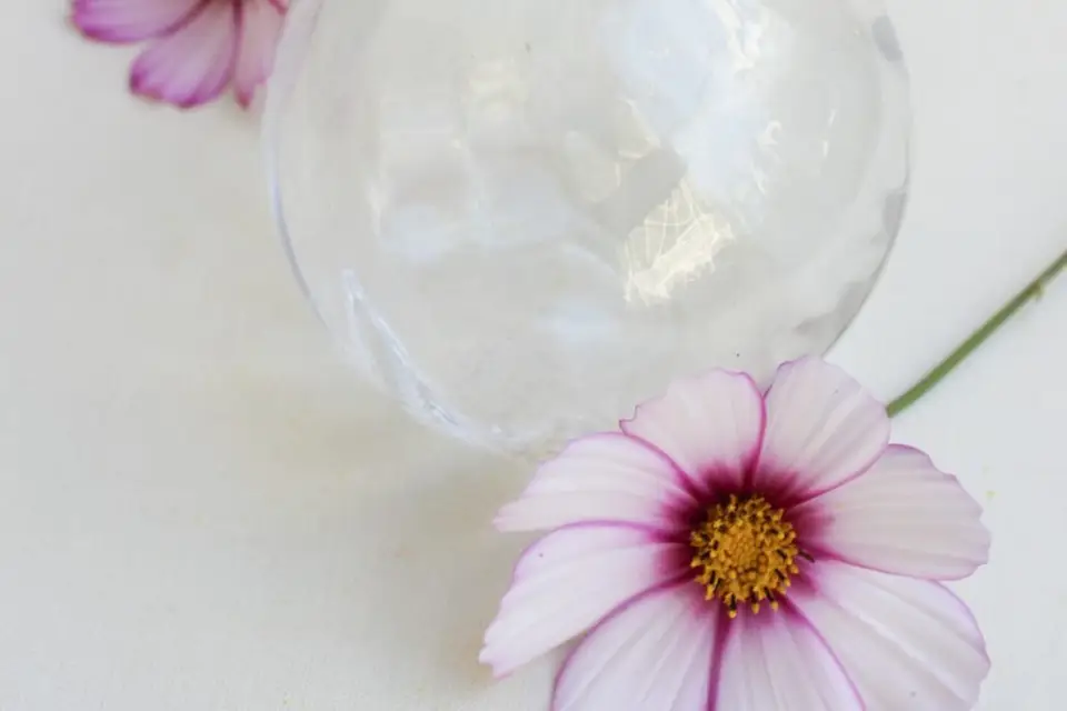 Agence Sorella — photo 6