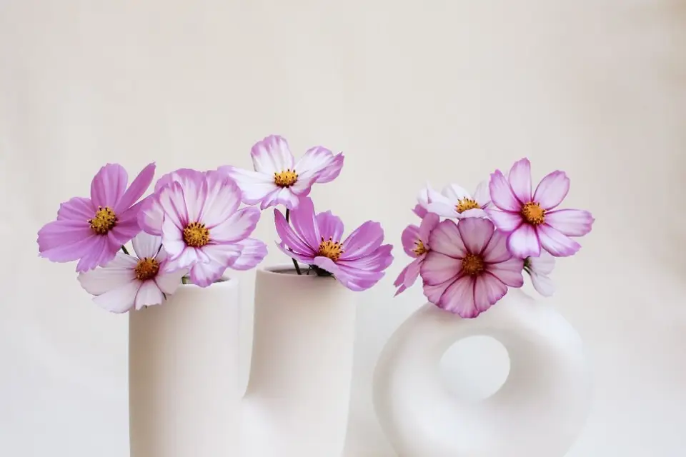 Agence Sorella — photo 8