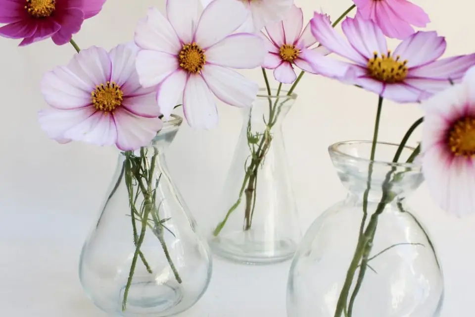 Agence Sorella — photo 7