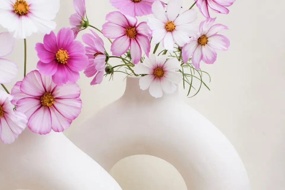 Agence Sorella — photo 5